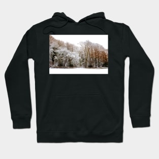 Woodland in Snow Hoodie